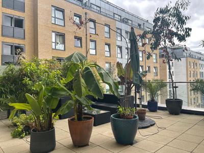Chelsea Pad