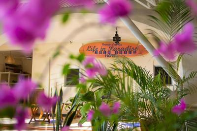 Zulu Surf Hotel Tamarindo