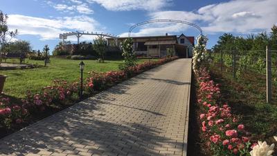 Merlot Borhotel és Látványpince