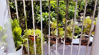 SUNRISE Hotel Vũng Tàu