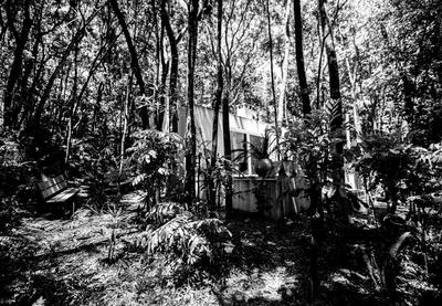 Olinda Diamante, Incrível tiny house na serra