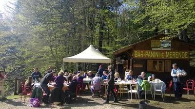 Camping Camaldoli
