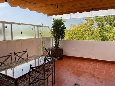 Torneo Atico Premium Apartment