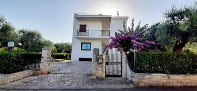 Villa Dragonfly by BarbarHouse
