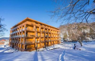 Cozy Apartment-The Valley, Bakuriani