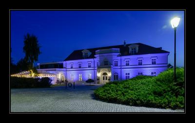 Pałac na Opieszynie