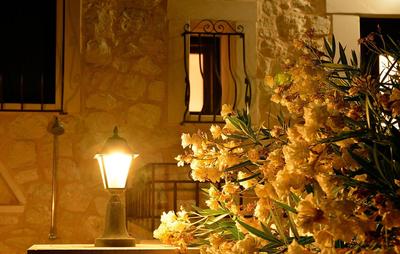 Olive Coast Suites