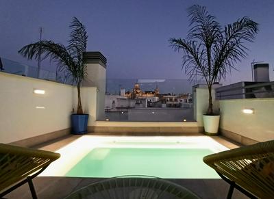 Luxury Penthouse with private pool Setas monument