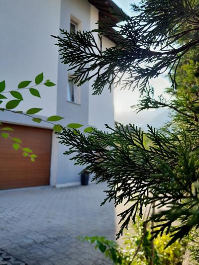 Appartment Lodged Mamma Maria