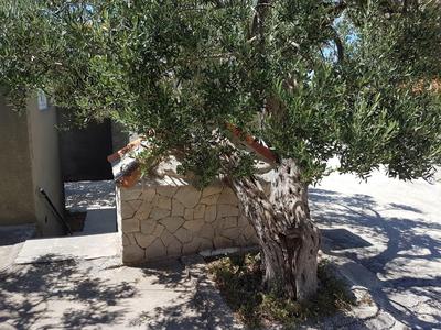Apartmani LuMa / apartman Luka