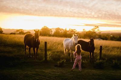 Fernhill Guest Farm