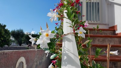 Casa Vacanza Anacapri Sunrise