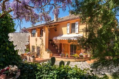 B&B Glicine