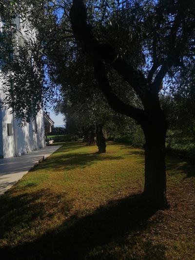 Zennova #61, Boutique Studio in Nikiti