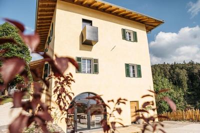 Hof im Thal Apt Linde
