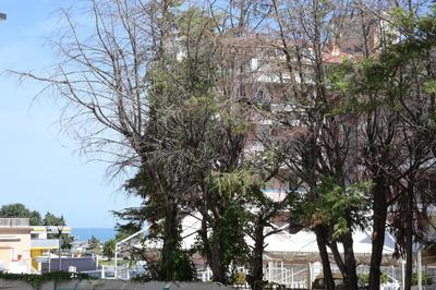 ITALY-HOUSE Pantelleria 18 Termoli Molise