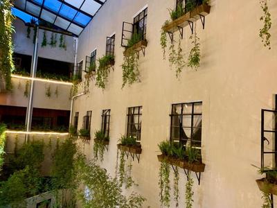 FRONTERA 49 Roma Norte Hostal