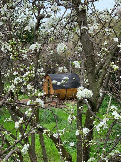 KURALEMU Casa de Campo