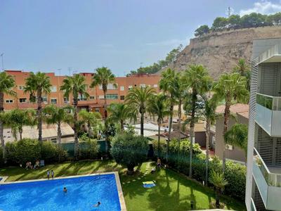 Marina Raset, 3 dormitorios, centro, by Bookindenia