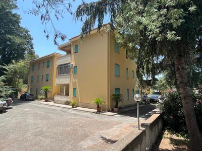 Il viandante