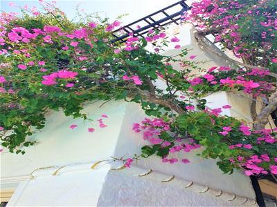 3 Bedroom House - Sleeps 15 - Pool Garden Wifi