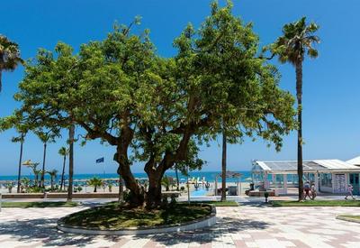 Beach Apartment Montemarcarihuela