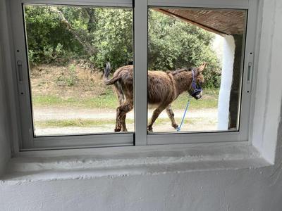 3 Bed Lodge - Sleeps 6 - Pool - Terrace - Parking