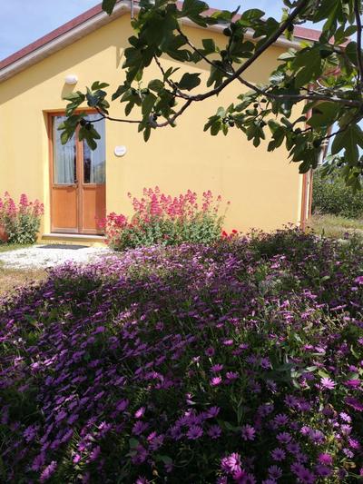 Agriturismo I Ciliegi Appartamento Ginestra