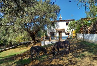La Encina Casa Rural
