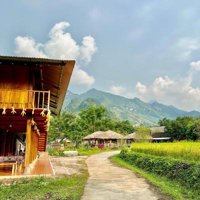 Wild Orchid- Lan Home