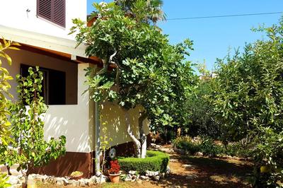 Apartment Bojic