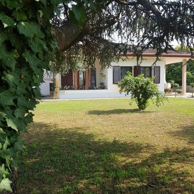 B & B Cedro Argentato