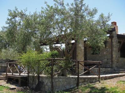 Villa Degli Ulivi