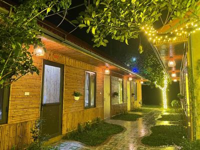 Tam Coc Viet Ha Homestay