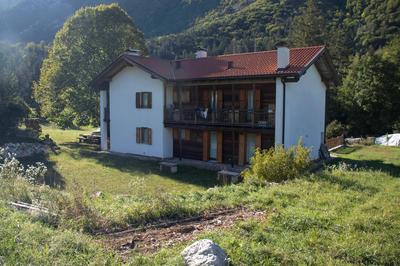 Storie di bosco