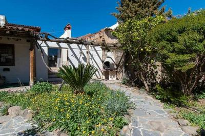 Vilaflor- La casita de campo