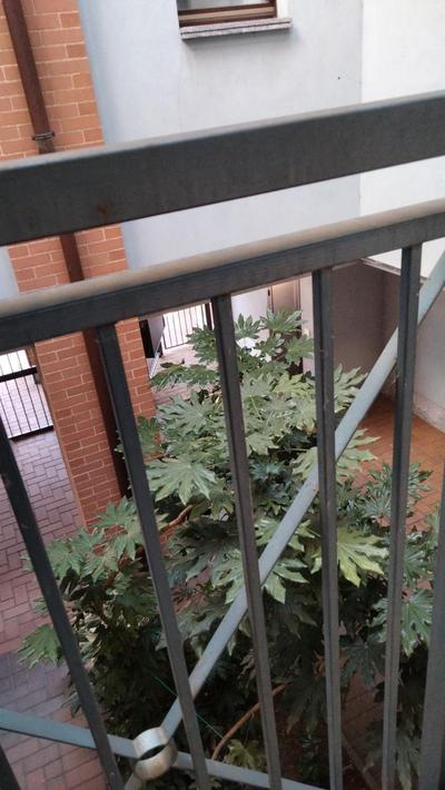 AMA cityhouse