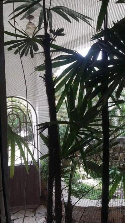 Hotel Raíz de Sierra