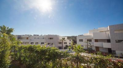 CG7 casares green