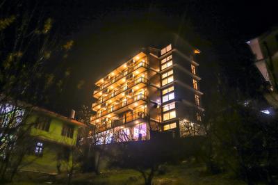 Hotel Old Smugglers with Balcony mountain view AC Hot and Cold Near to Hadimba Temple