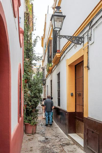 Susona - Oasis de paz en barrio Santa Cruz