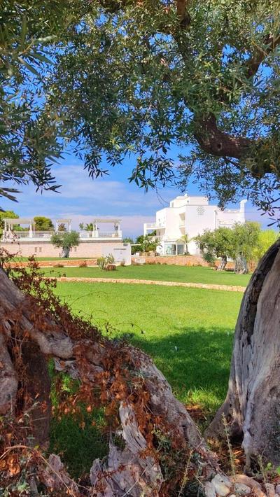 San Lorenzo Boutique Hotel & SPA