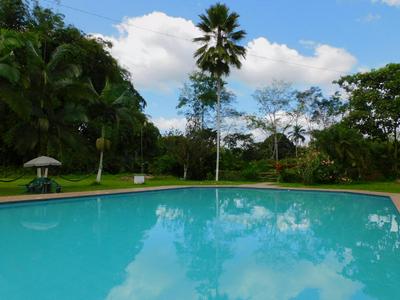 Puerto Quito Lodge - Las Iguanas