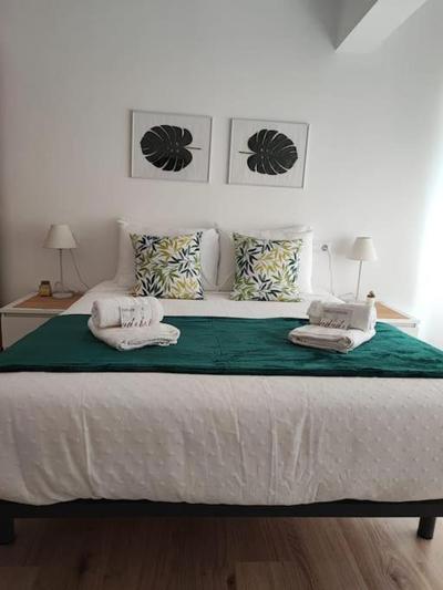 CarreraHouses Antela