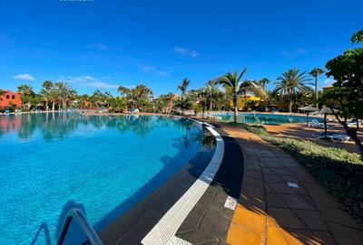 Rentalfue Tamarindo Amas