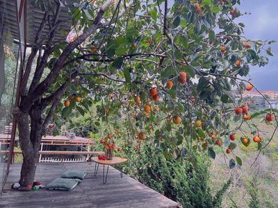 An Yên Villa Đà Lạt