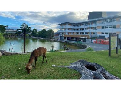 Hotel Tenpyo Naramachi - Vacation STAY 59515v