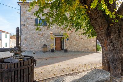 Villa Hizina Veleniki