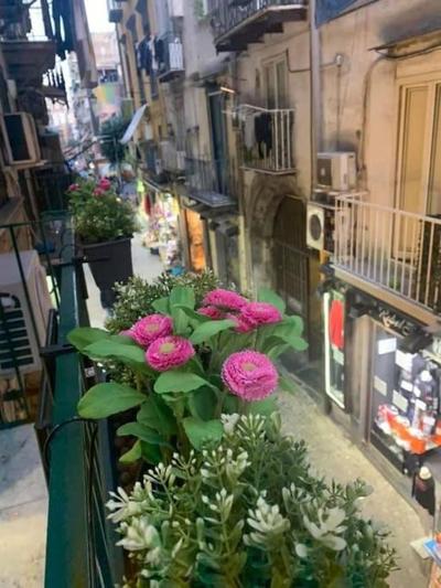 la casa di patta a spaccanapoli