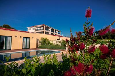 Sea Cats' Villas